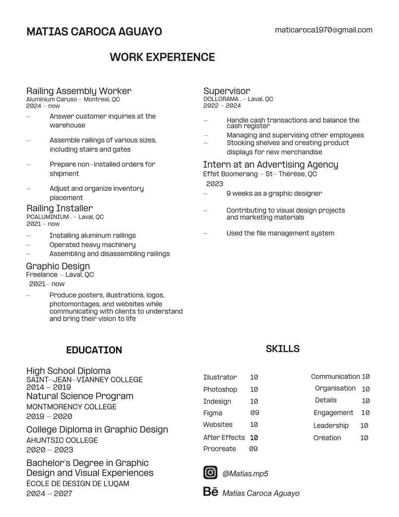 Curriculum vitae preview